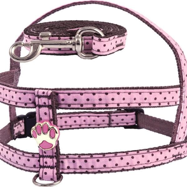 Conjunto Peitoral Pet Luxo E Guia Nylon Chocolate Rosa Premium Aço inox Cachorro Gatos Pet shop