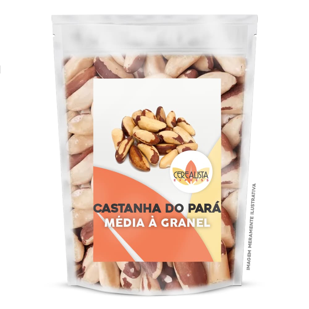 Castanha do Pará Inteira a Granel Oleaginosa Natural Snack Saudável