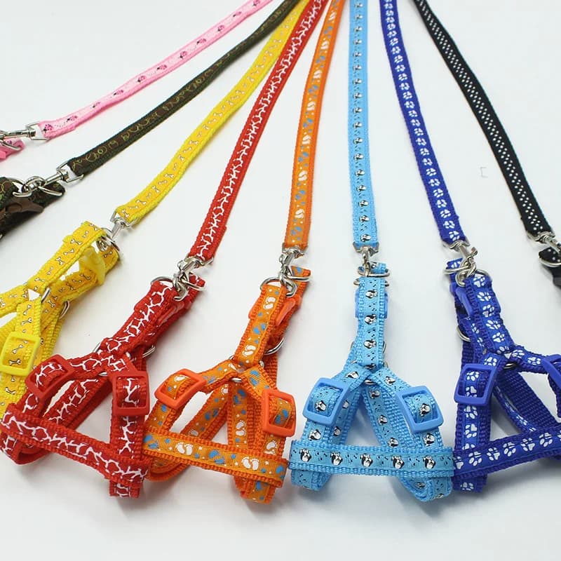 Kit Completo para Passeio: Coleira Peitoral + Guia para Cães e Gatos - Porte Pequeno, Médio e Grande