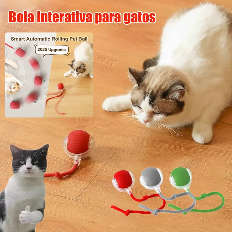 Inteligentes Brinquedos Para Gatos de Rolamento Automática Adequada Internos brinquedo