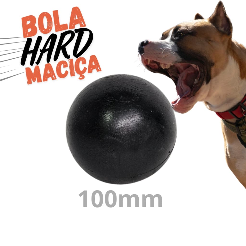 Bola Grande Lisa 100mm Resistente Maciça Cães Porte Grande - Brie Pet
