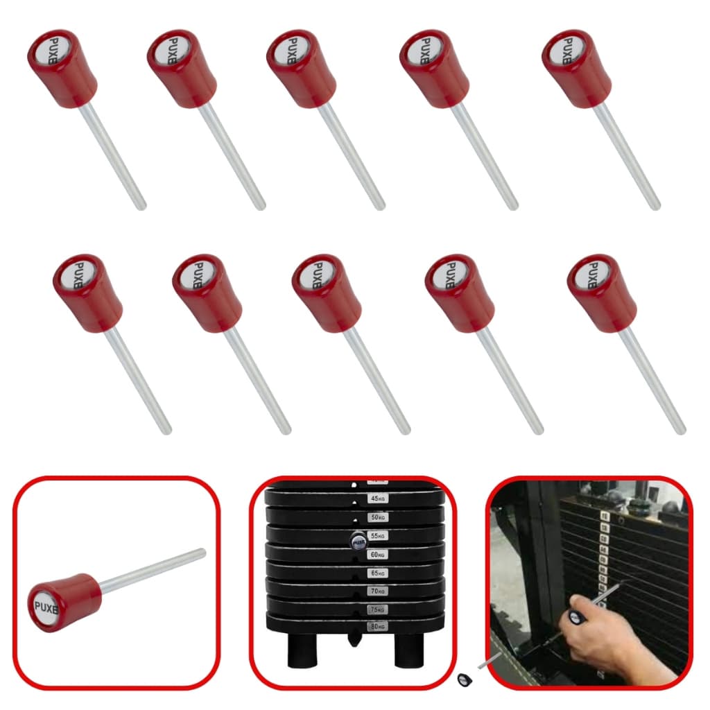 Kit 10 Pinos de Carga Engate Magnético com Imã Universal Academia Treino Musculação