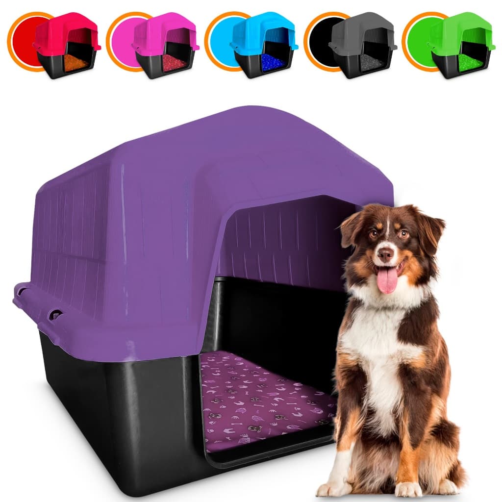 Casinha Para Cachorro Grande - Médio Porte Casa Plástica Nº6 Com Colchonete Cama Pet