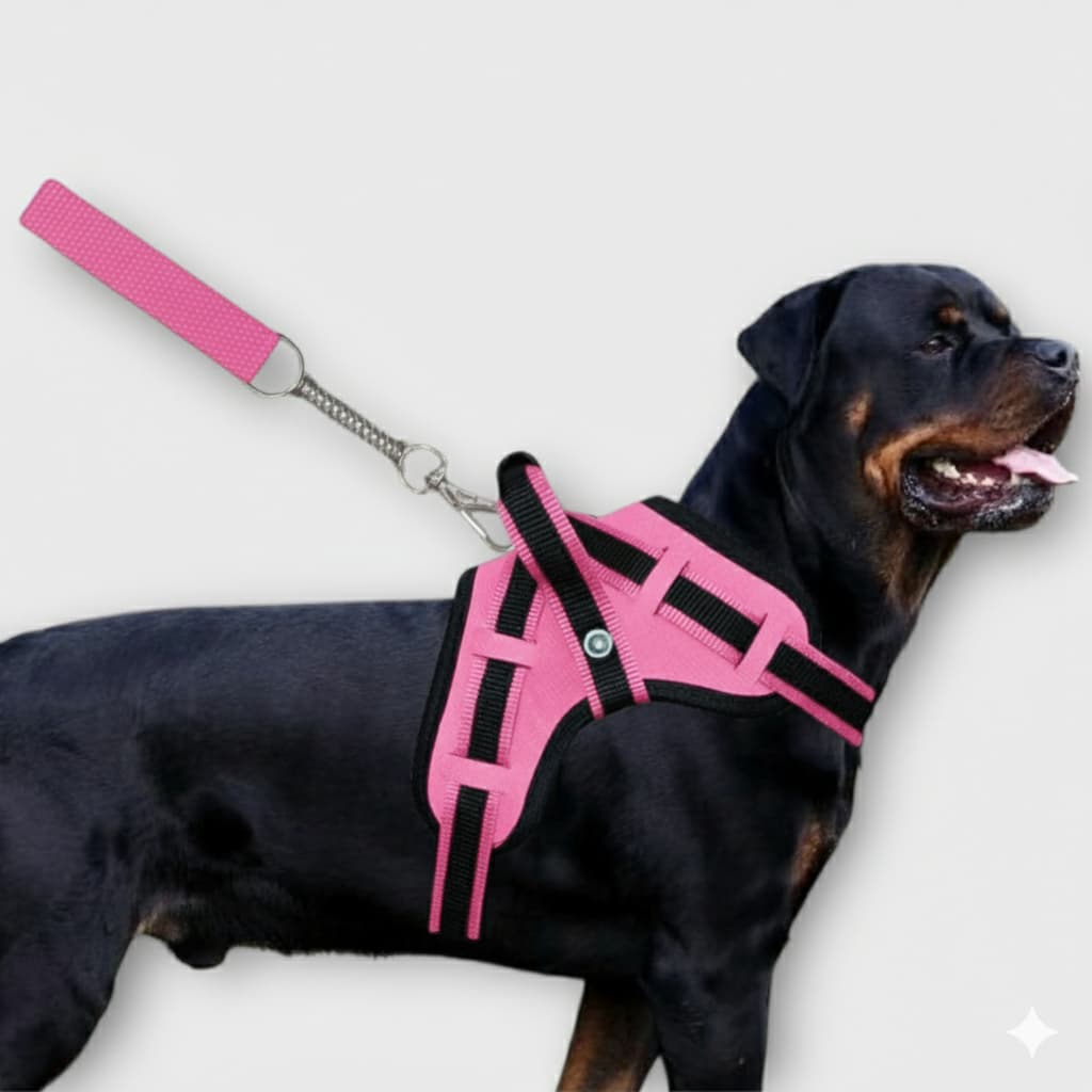 peitoral coleira cachorro médio grande porte labrador pitbull pastor alemão fila guia super resistent