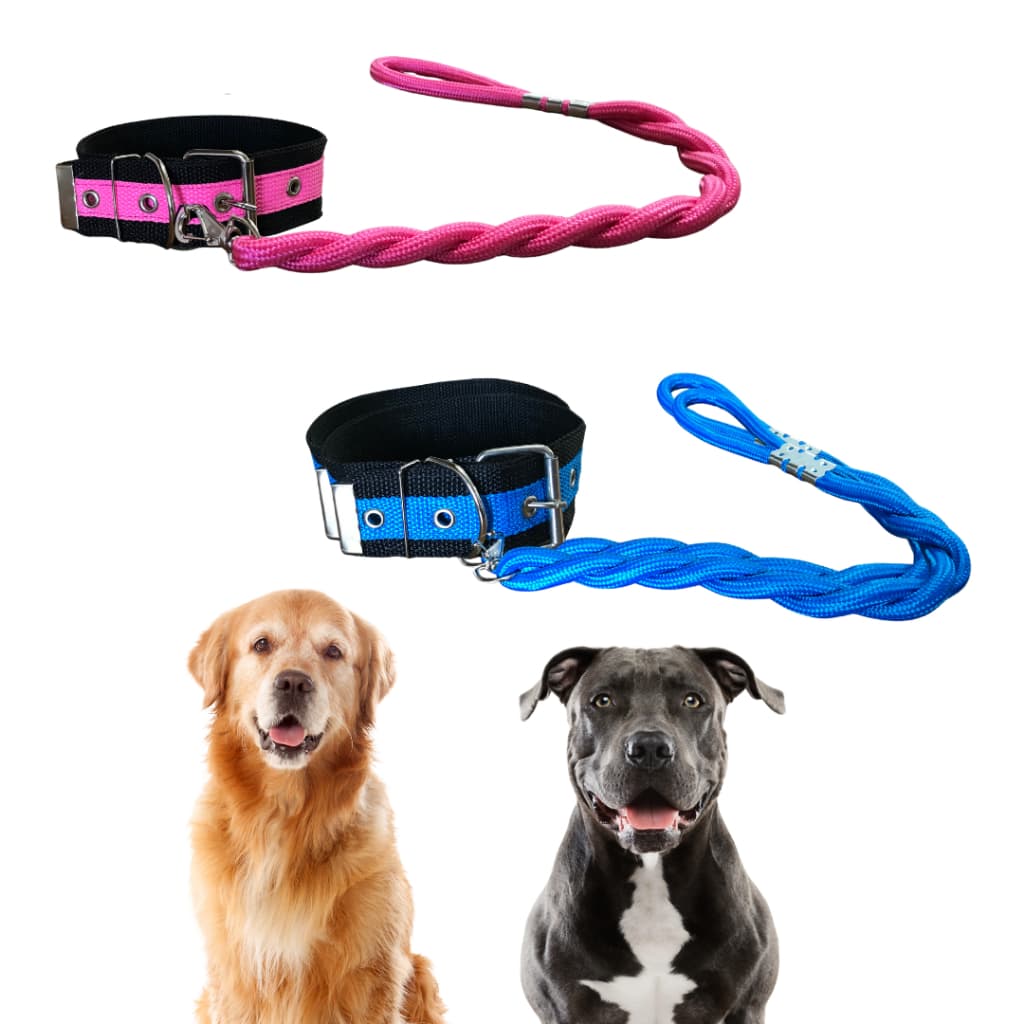 Coleira com Guia Reforçada 40mm para Cachorro Médio Grande Porte Pitbull Rotteweiler Golden Terrier