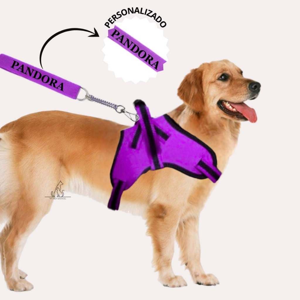Colete nome personalizado coleira e guia para cachorro peitoral conforto couro sistema mola amortecedor anti impacto