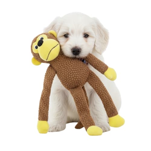 Brinquedo Macaco Pelúcia com Apito Moderdor para cachorro - 45x12x7cm