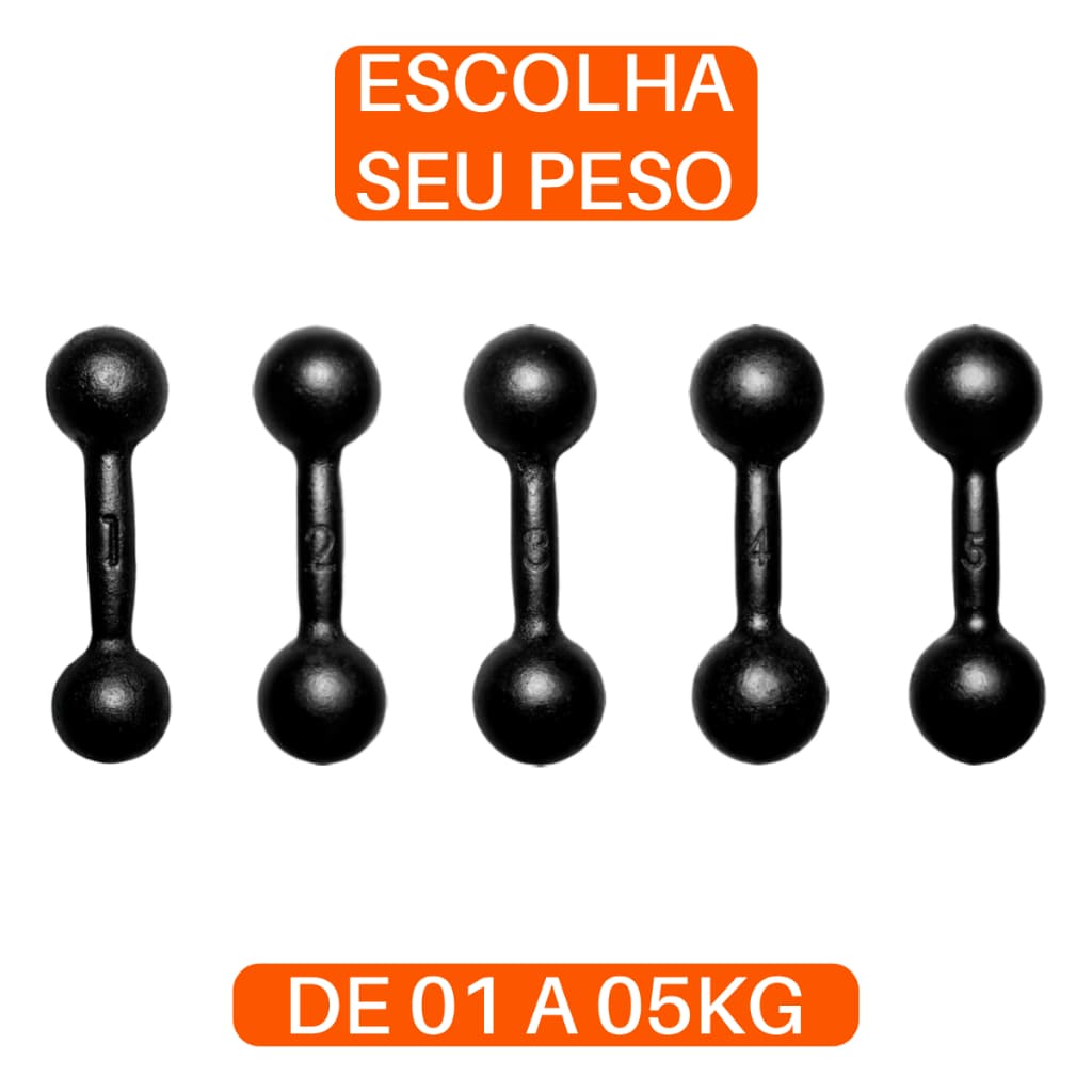 Halter Bola Pintado 1 a 5kg Treino Musculação Peso Livre Funcional Academia