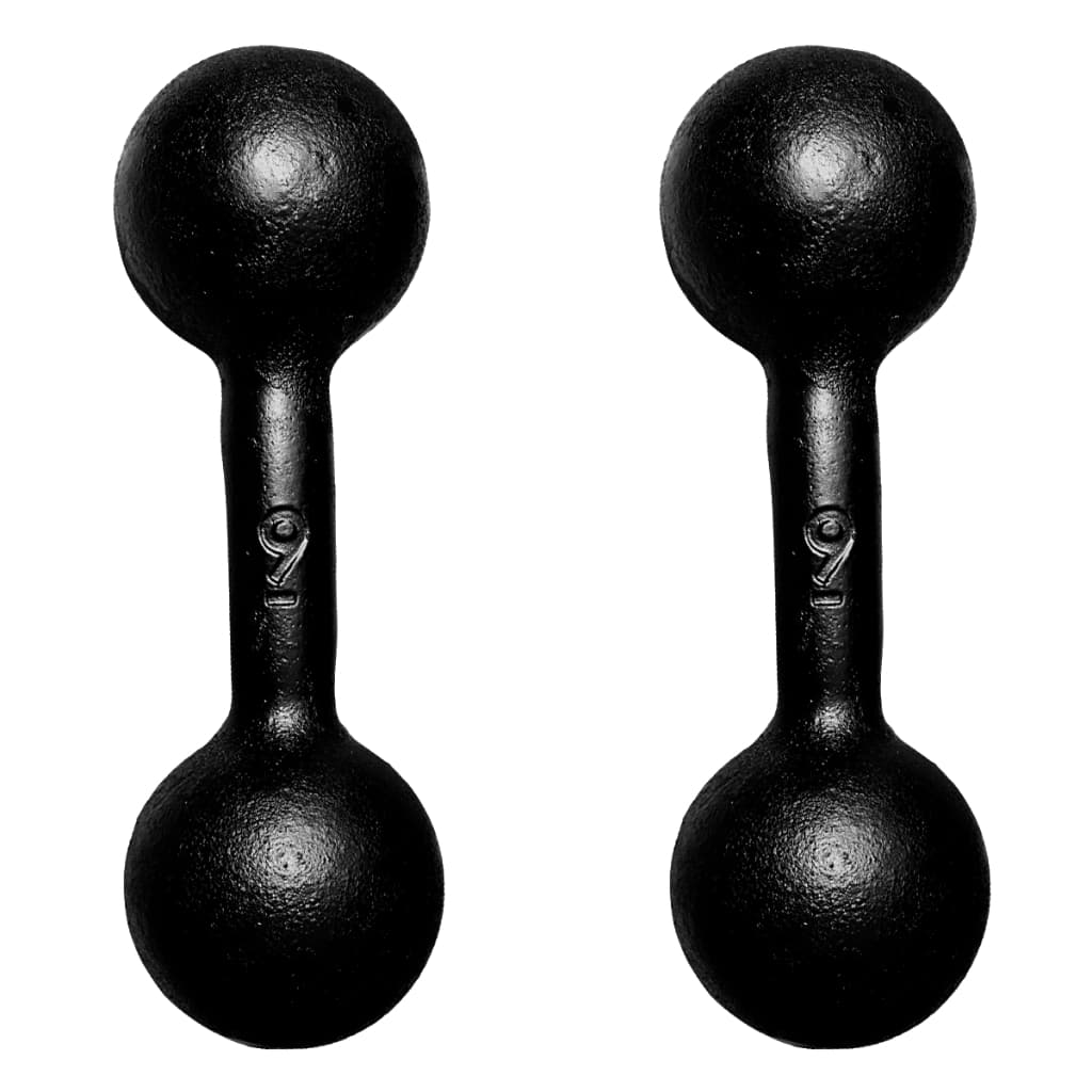 Par Halteres Bola Pintado 9kg Treino Musculação Peso Livre Funcional Academia