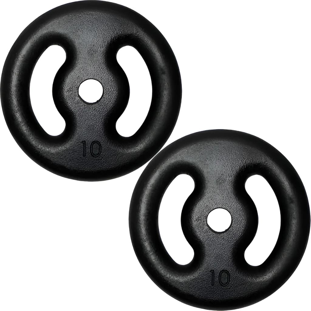 Kit 2 Anilha Pintada 10kg Ferro Fundido Peso de Academia Musculação Fitness Para Barras e Halteres