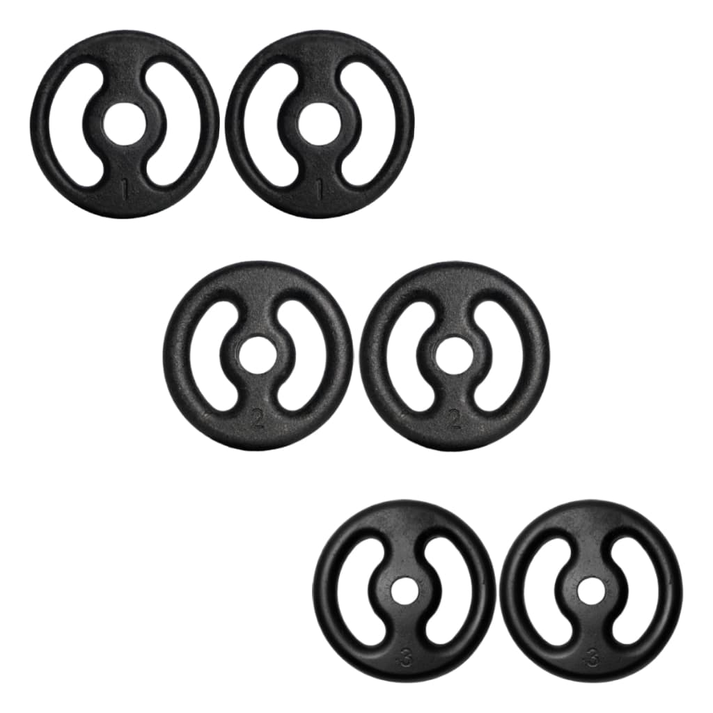Kit Anilha Pintada 12kg Ferro Fundido Peso de Academia Musculação Fitness Para Barras e Halteres