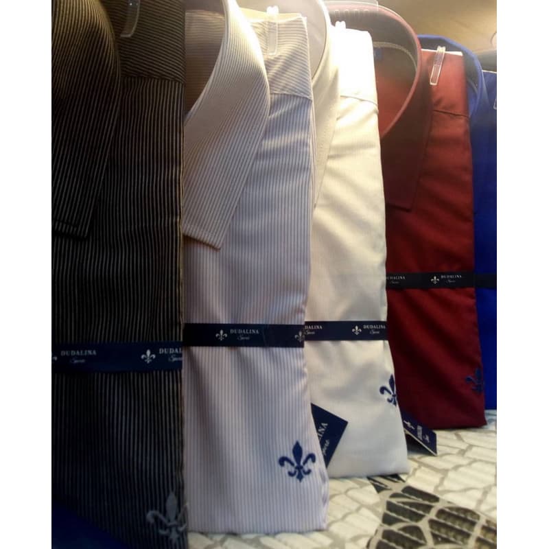 Camisa Social Manga Longa Slim Fit Masculina D ⚜️ Lisa Slim Fit
