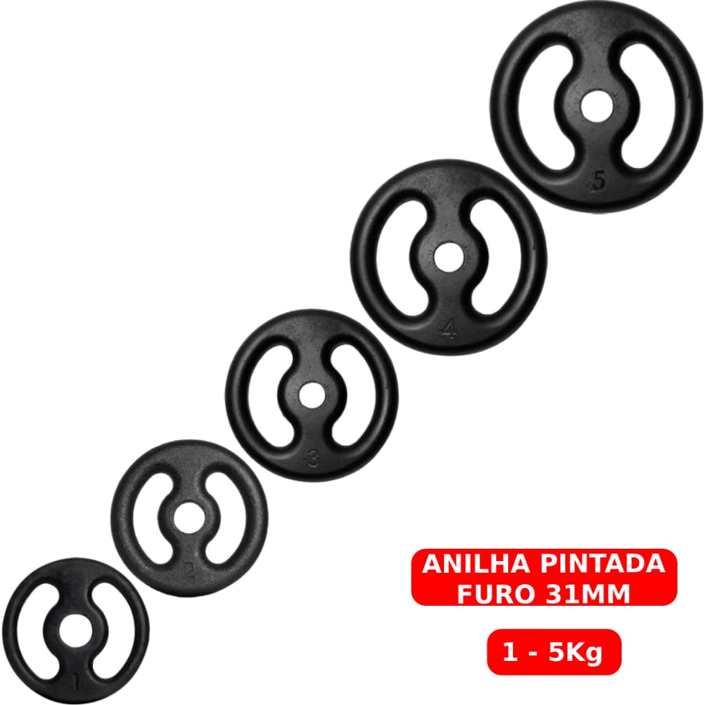 Anilha Pintada 1 a 5kg Ferro Fundido Peso de Academia Musculação Fitness Para Barras e Halteres