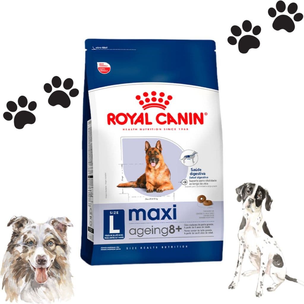 Ração Para Cachorros Idosos Grandes 12kg Maxi Ageing 8+ Royal Canin