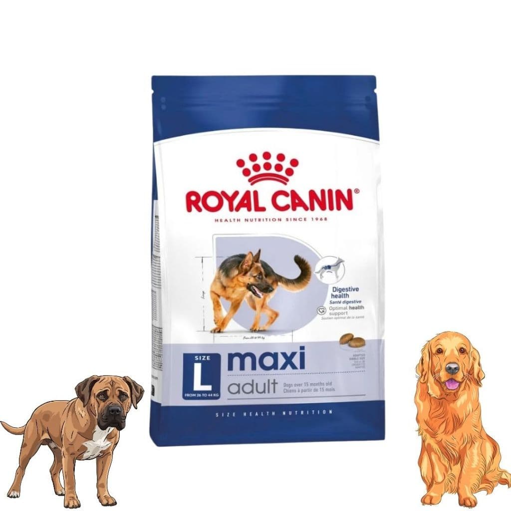 Ração Para Cachorros Adultos de Raças Grandes 12kg Royal Canin