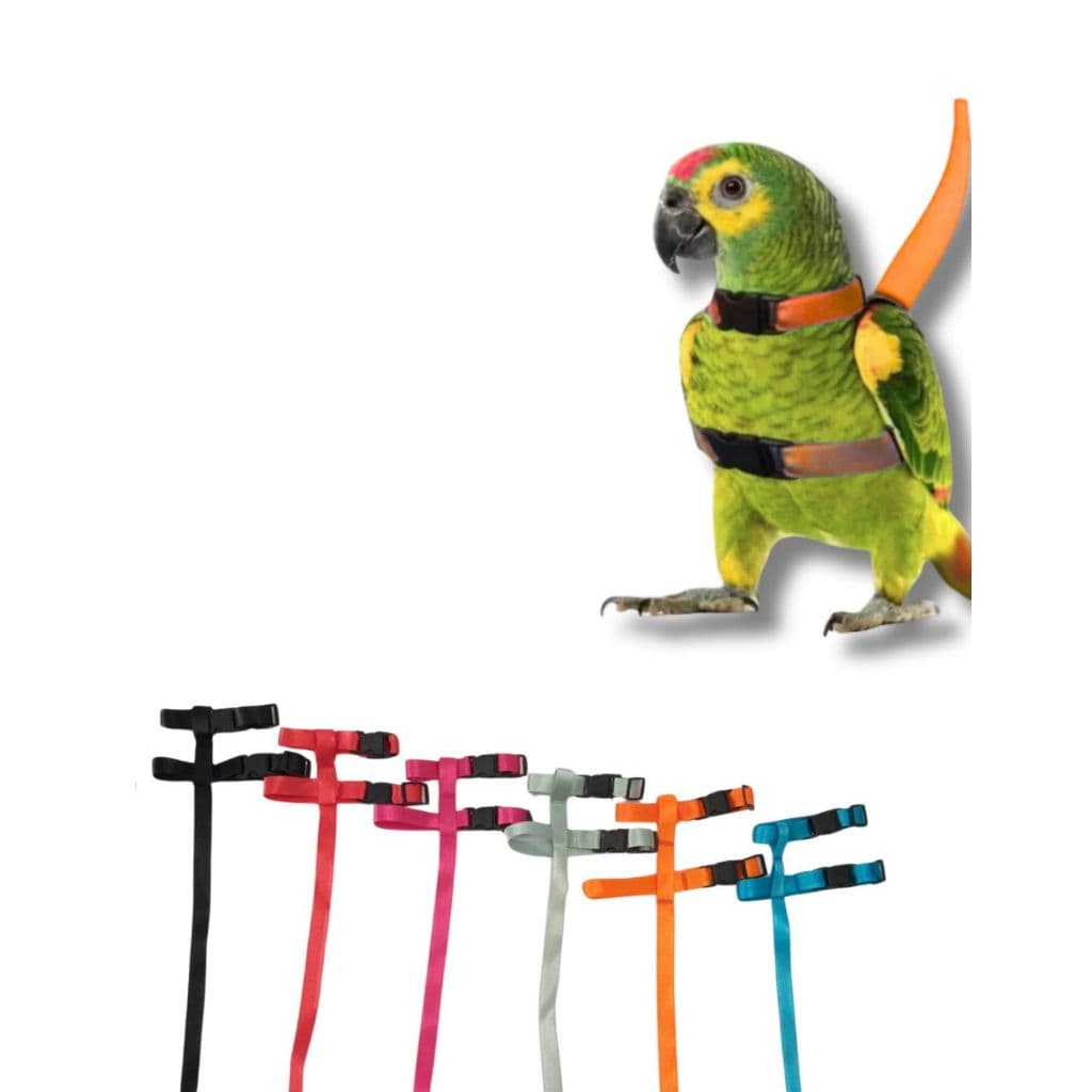 Coleira com Guia para Papagaio Arnês Ajustável Confortável para Passeio de Aves Grandes e Treinamento