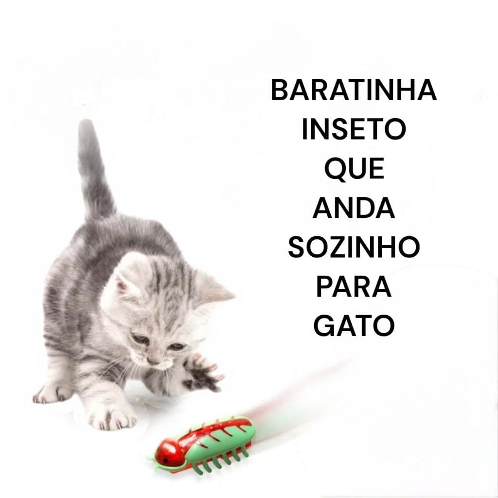 Brinquedo Interativo Para Gato Barata Baratinha Inseto Que Anda Sozinho