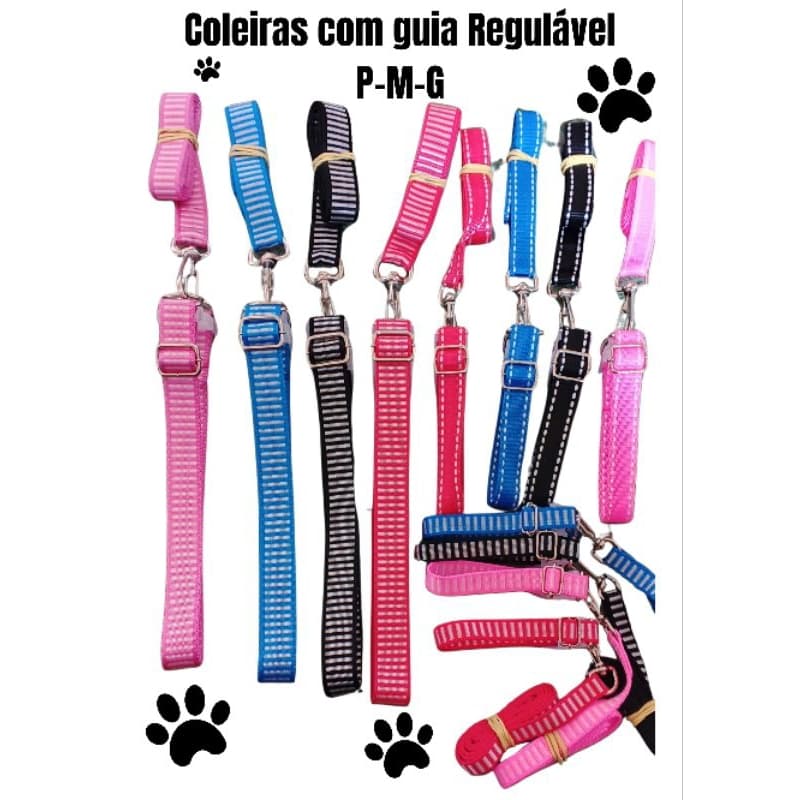 Guia e coleira