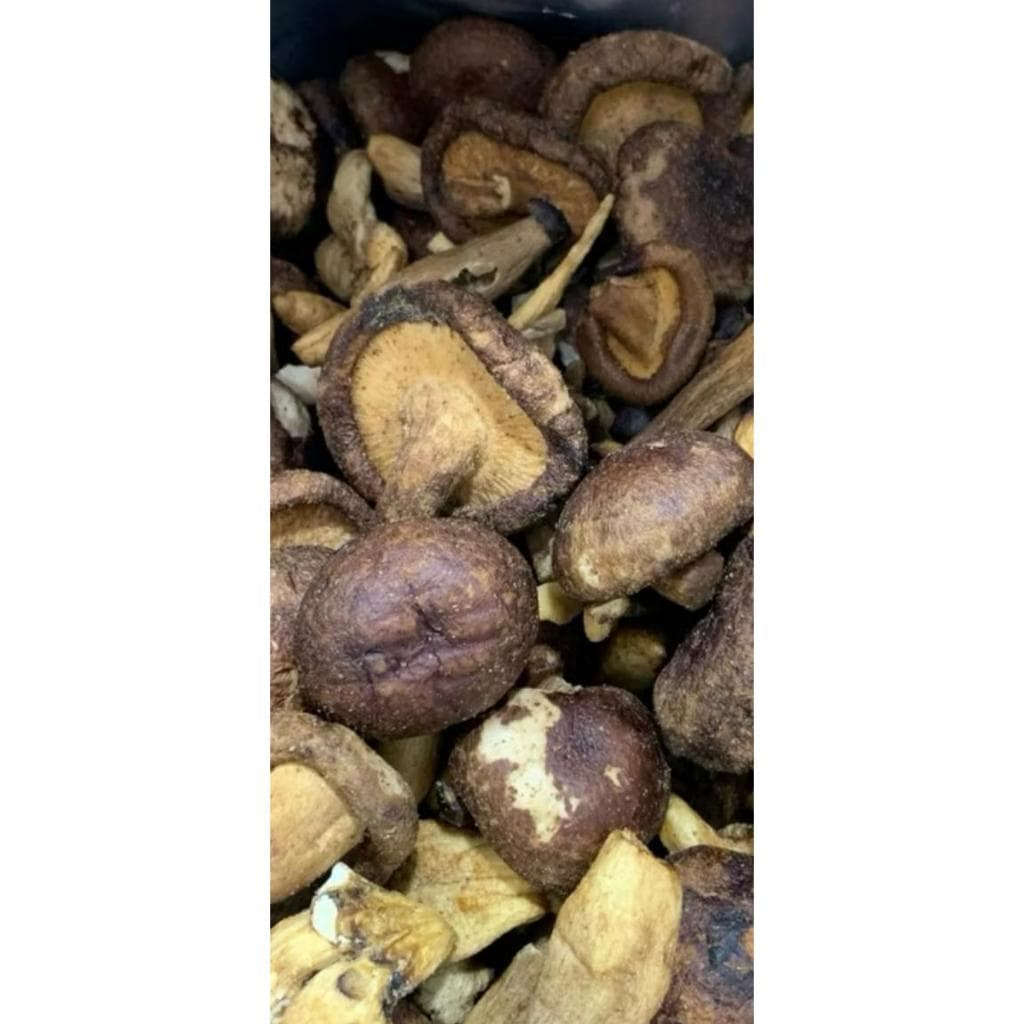 Mix de Cogumelos Chips Liofilizado Snack Saudavel