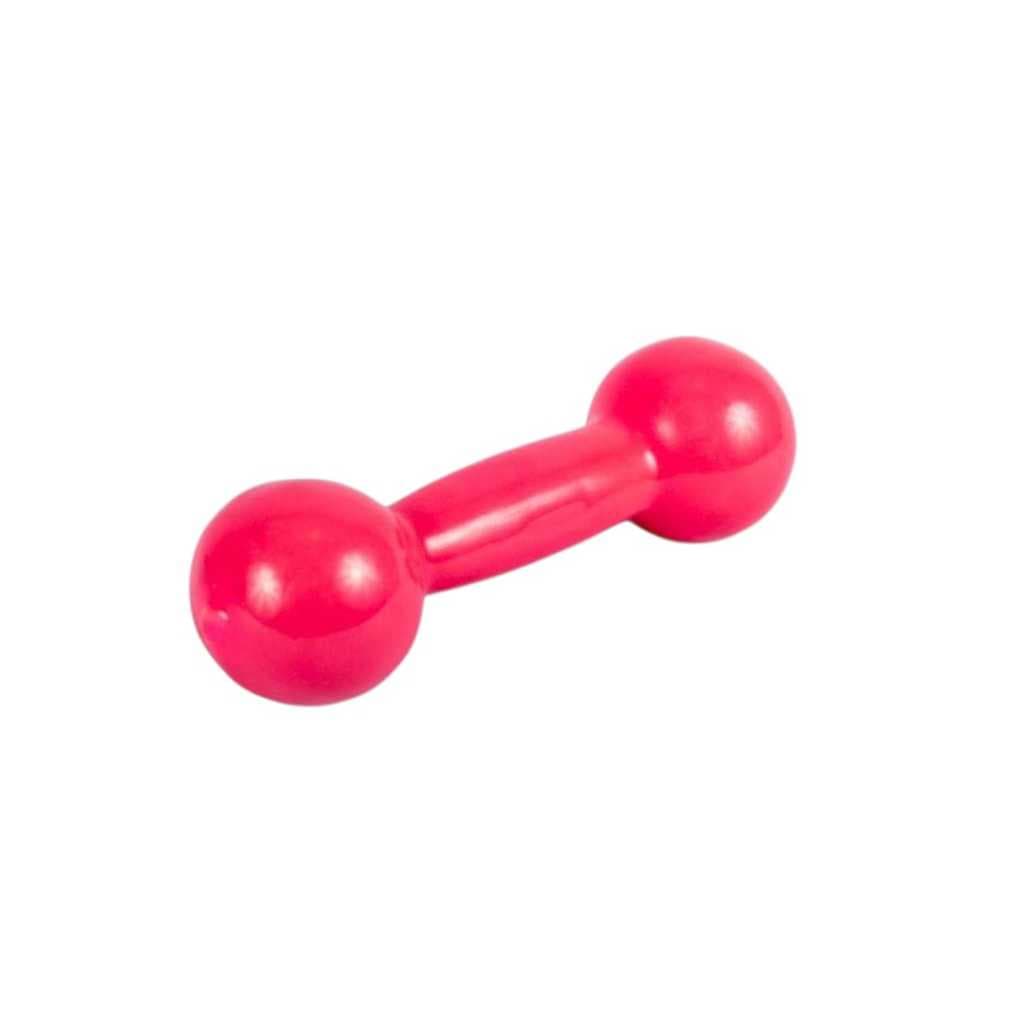 Halter Rosa 1kg para Academia e Fisioterapia 1 Unid – Exercícios de Braço e Corpo em Casa