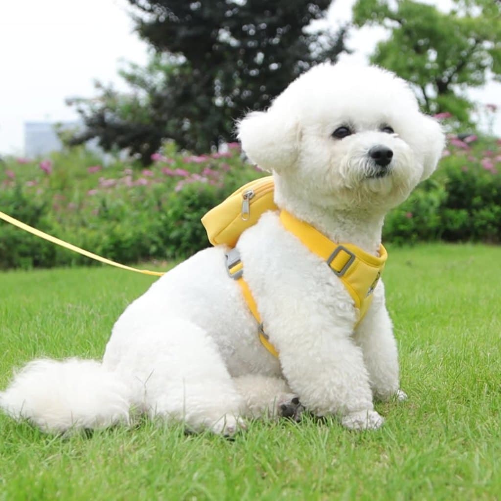 L54-62cm Peitoral Coleira Com Guia e Bolsa Removível Para Cachorro Pet Cães Malha de Náilon