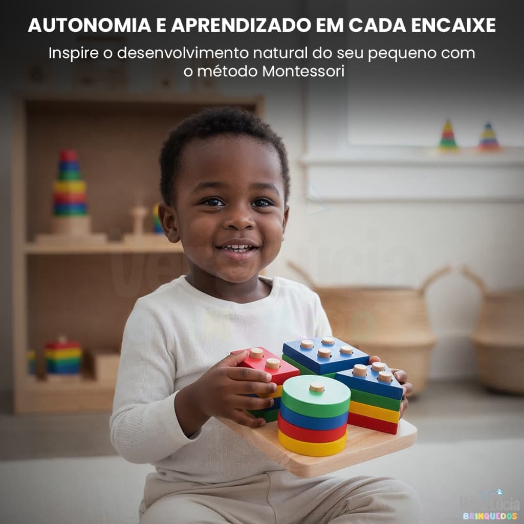 Brinquedos Educativos 2 Anos Menina Menino Montessori Brinquedos Educacionais Formas Geométricas