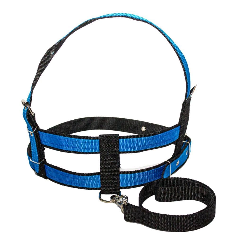 Peitoral E Guia Grande Porte Guia Coleira  Para Cachorro Pet Reforçado Pet Passeio Forte Resistente