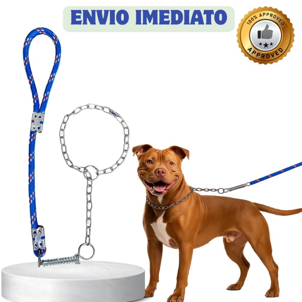 Guia para cachorro grande e médio porte reforçada com Corrente
