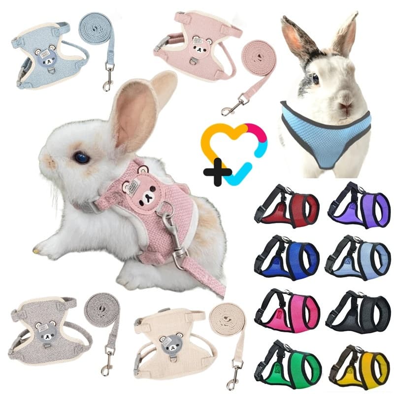 Kit 2 Coleiras Peitoral Colete mais 1 Guia para Coelho e Porquinho da Índia Azul Apricot Cinza Rosa