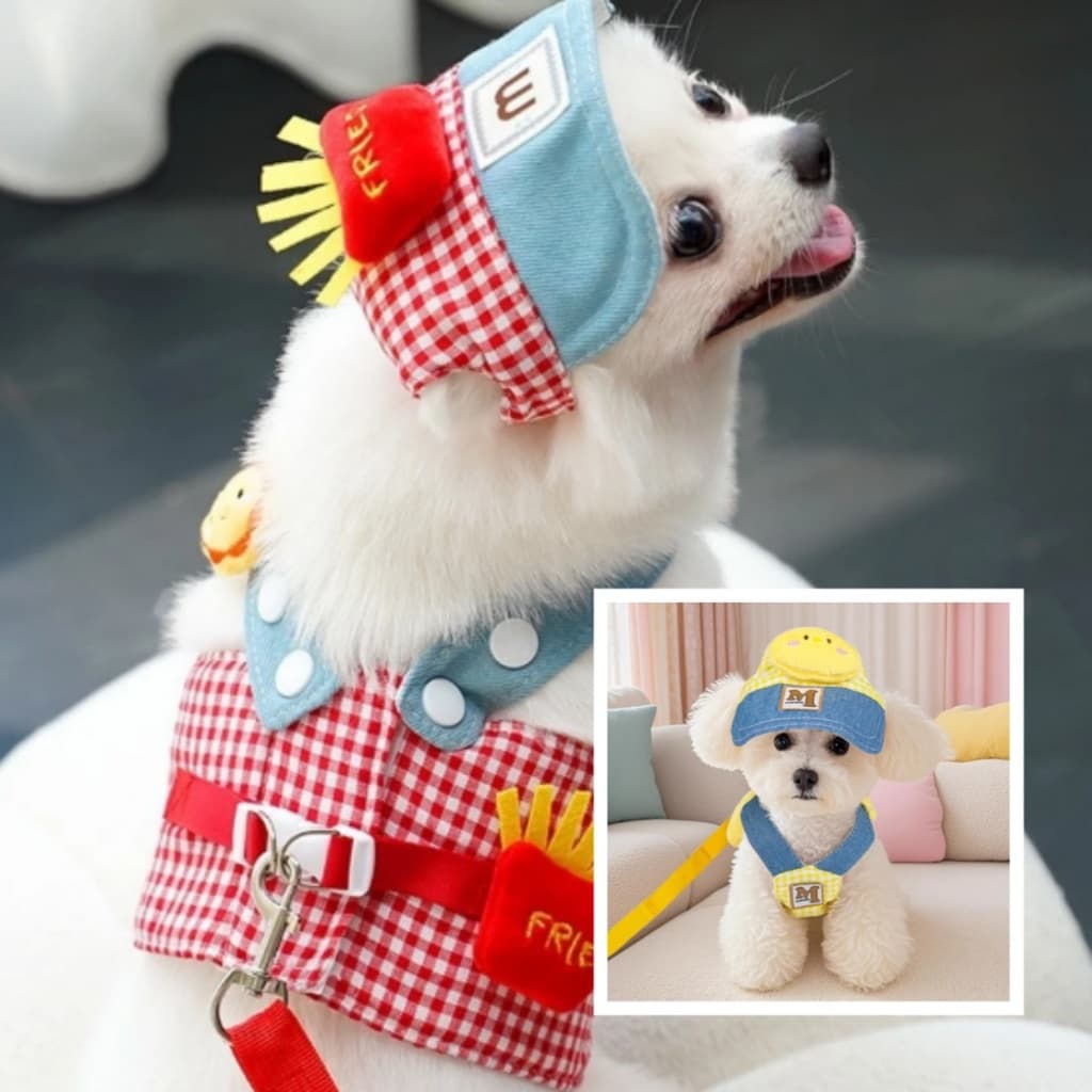 Kit Coleira Peitoral de Batatinho(a)/Pintinho(a) com chapéu e guia para Gatos e cachorros Pequeno e outros pets