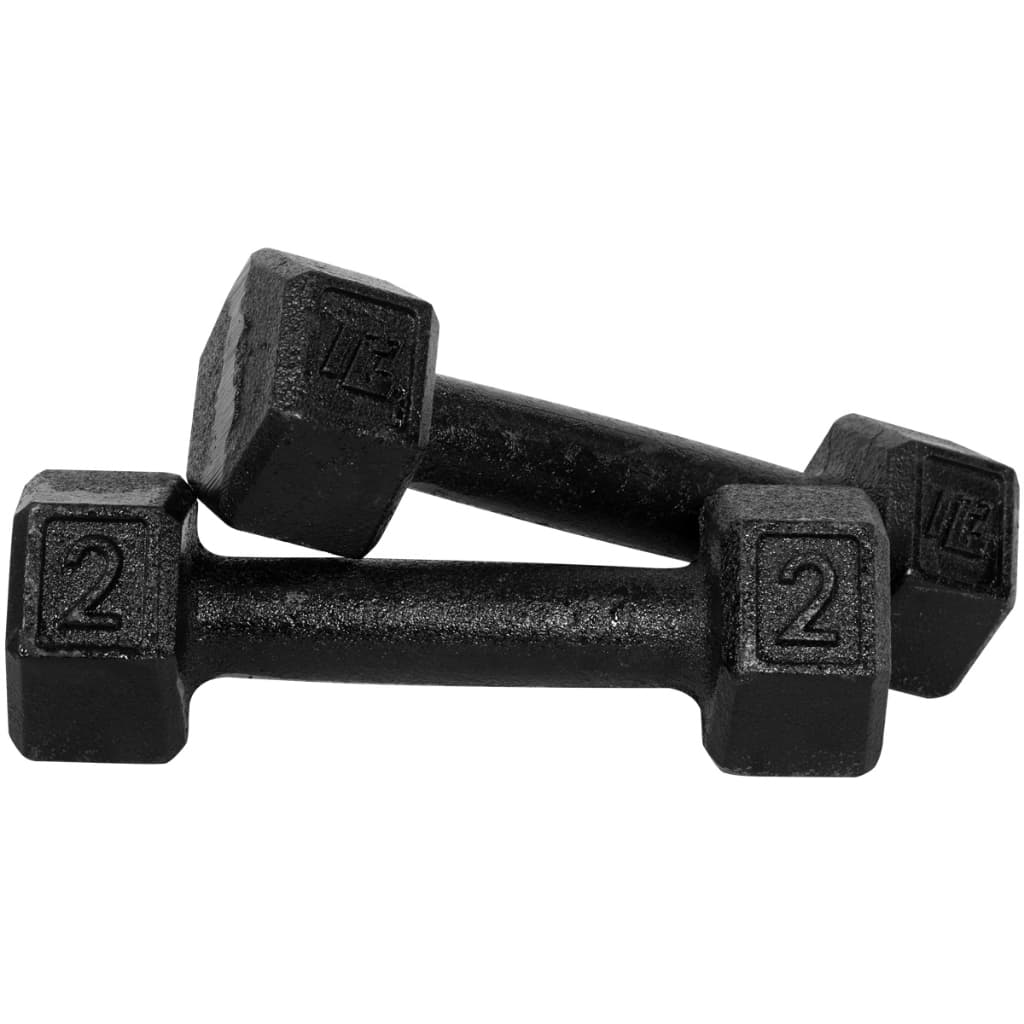 Halter Dumbell 2kg Sextavado Pintado Peso De Academia Para Treino Musculação