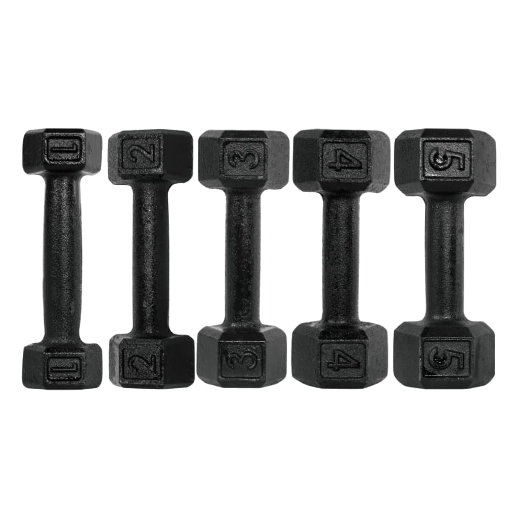 Halter Sextavado Pintado 1 a 5kg Dumbbell Peso de Academia Musculação Pesinho Treino Em Casa Fitness