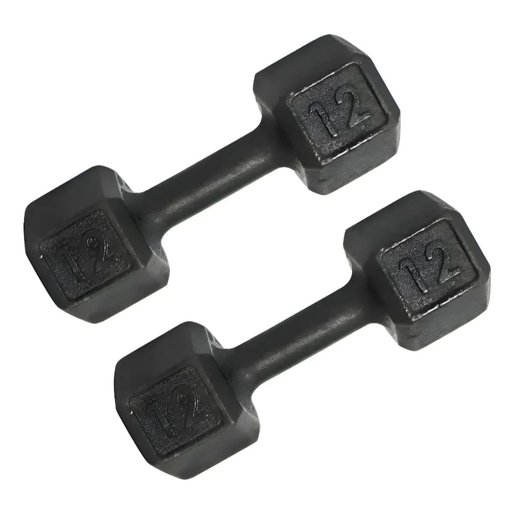 Halter Dumbell 12kg Sextavado Pintado Peso De Academia Para Treino Musculação