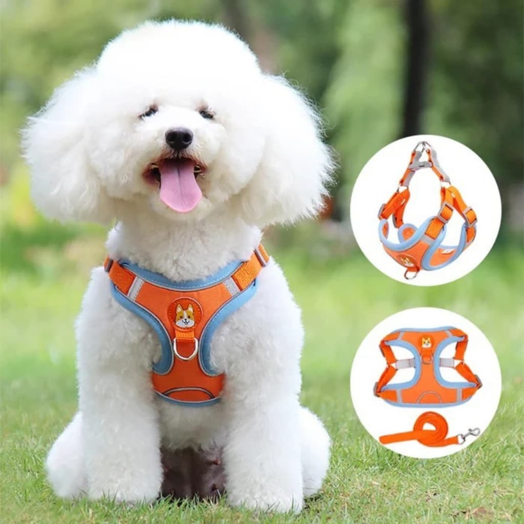 Coleira Peitoral Reforçada p/ Pets + Guia 1,5m | Conforto, Segurança e Estilo para seu Pet nos Passeios