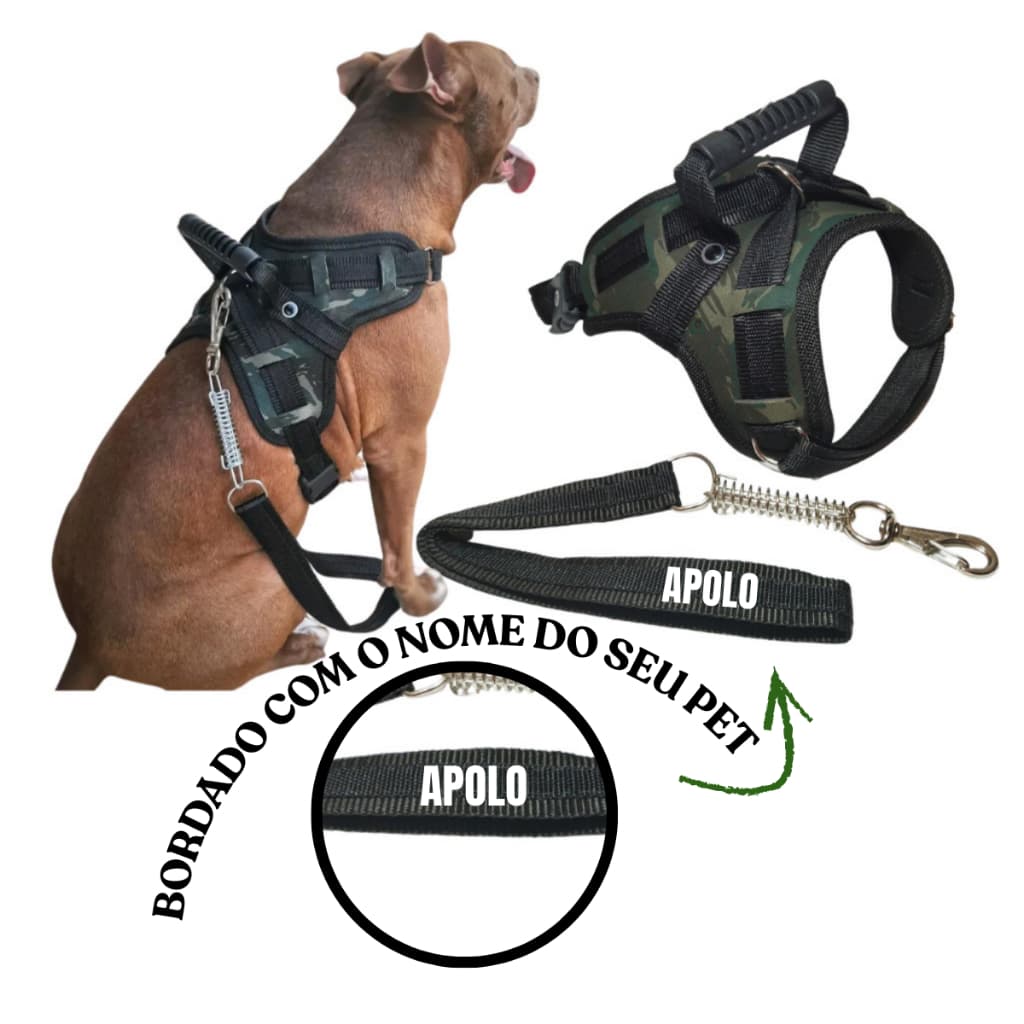 Coleira Peitoral Para Cachorro Reforçada Com Nome na Guia Cachorro de Pequeno Médio e Grande Porte