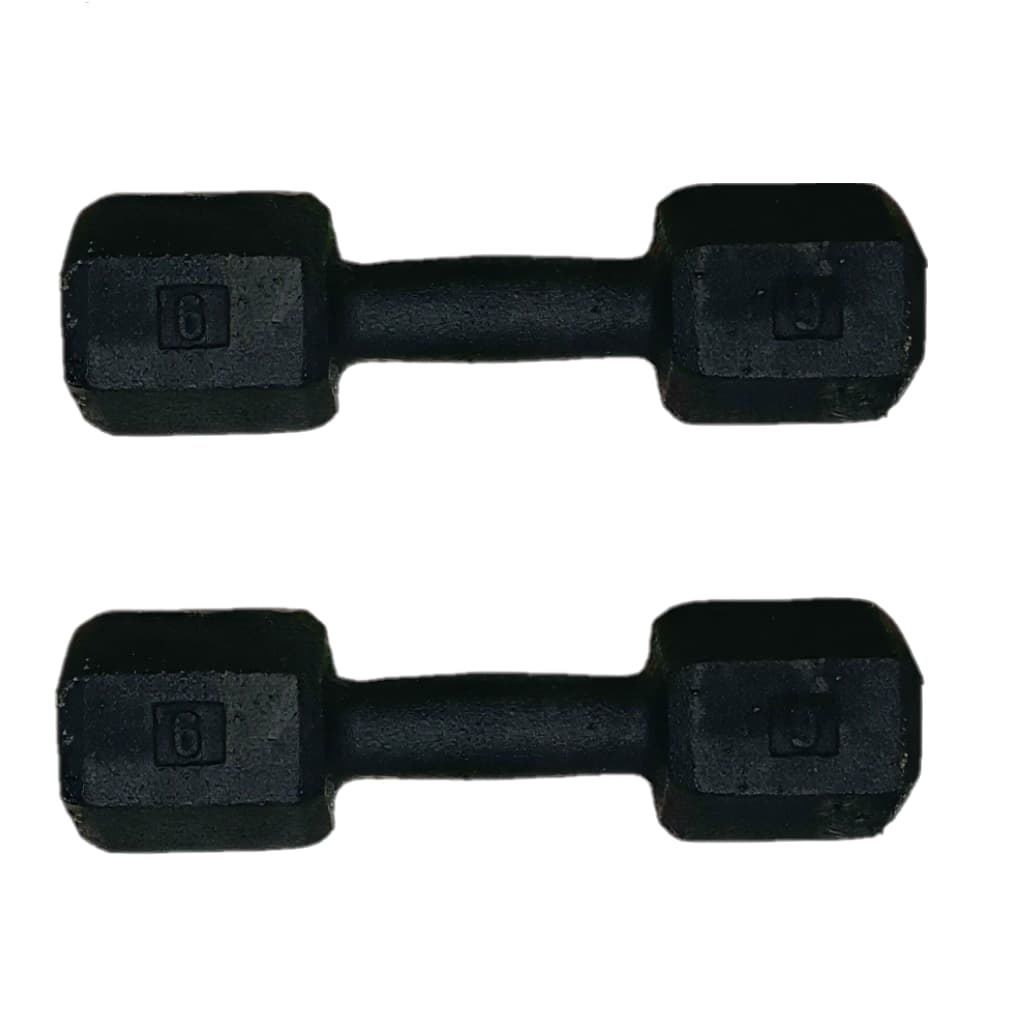 Par Halter Sextavado 6kg Pintado Academia Treino Musculação