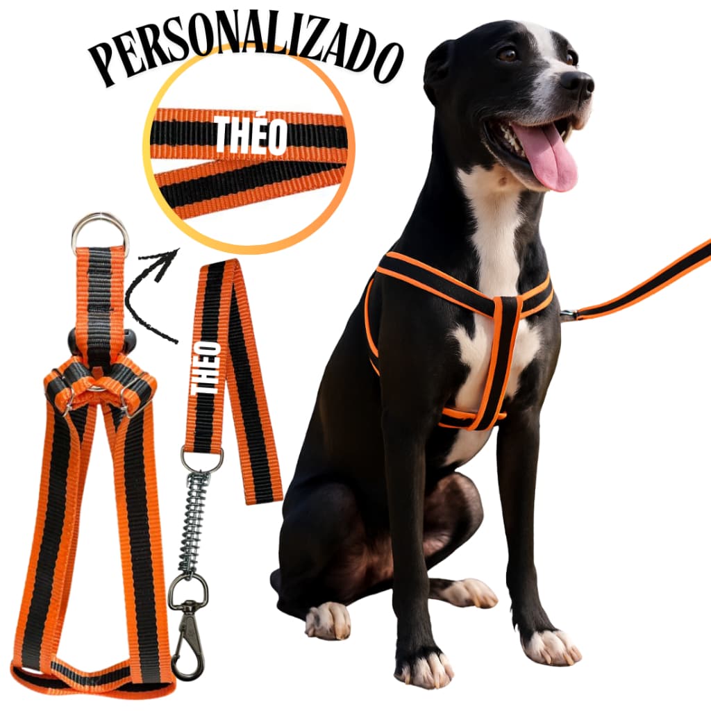 Coleira pra cachorro guia personalizada pequeno médio e grande forte Boxer Labrador anti puxão