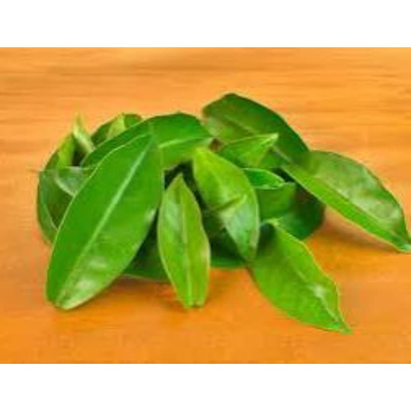 🌿 Folha Orgânica de Ora-pro-Nóbis Fresca – 50 Folhas Selecionadas 🍃