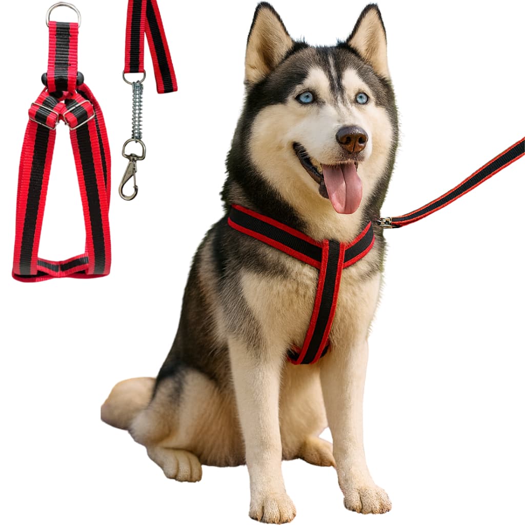 Coleira e Guia para cachorro pequenos médios e grandes com guia para pet colete confortável regulável