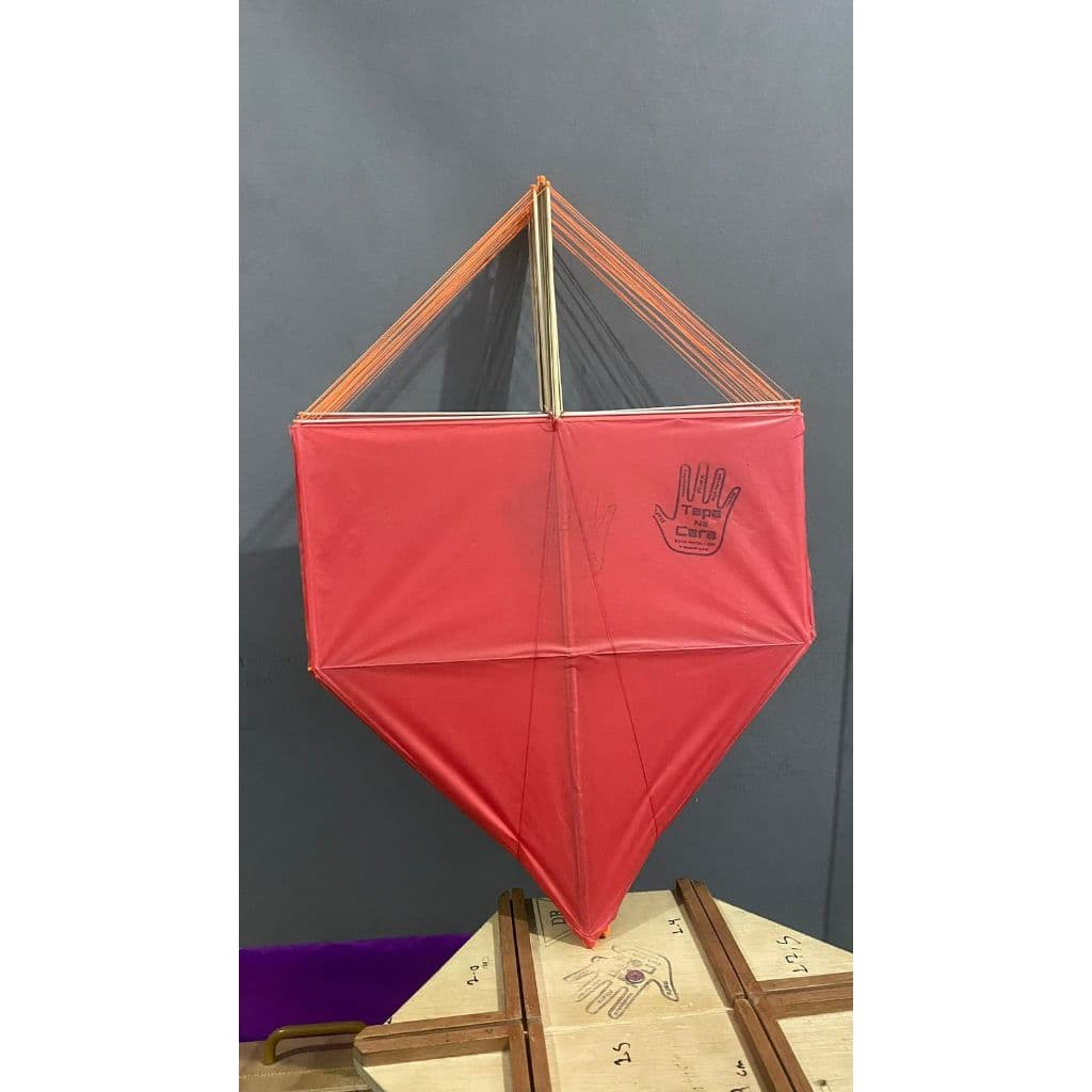PIPA CACHORRO LOKO 57CM 25 UN TAPA NA CARA - PRONTA PARA O COMBATE
