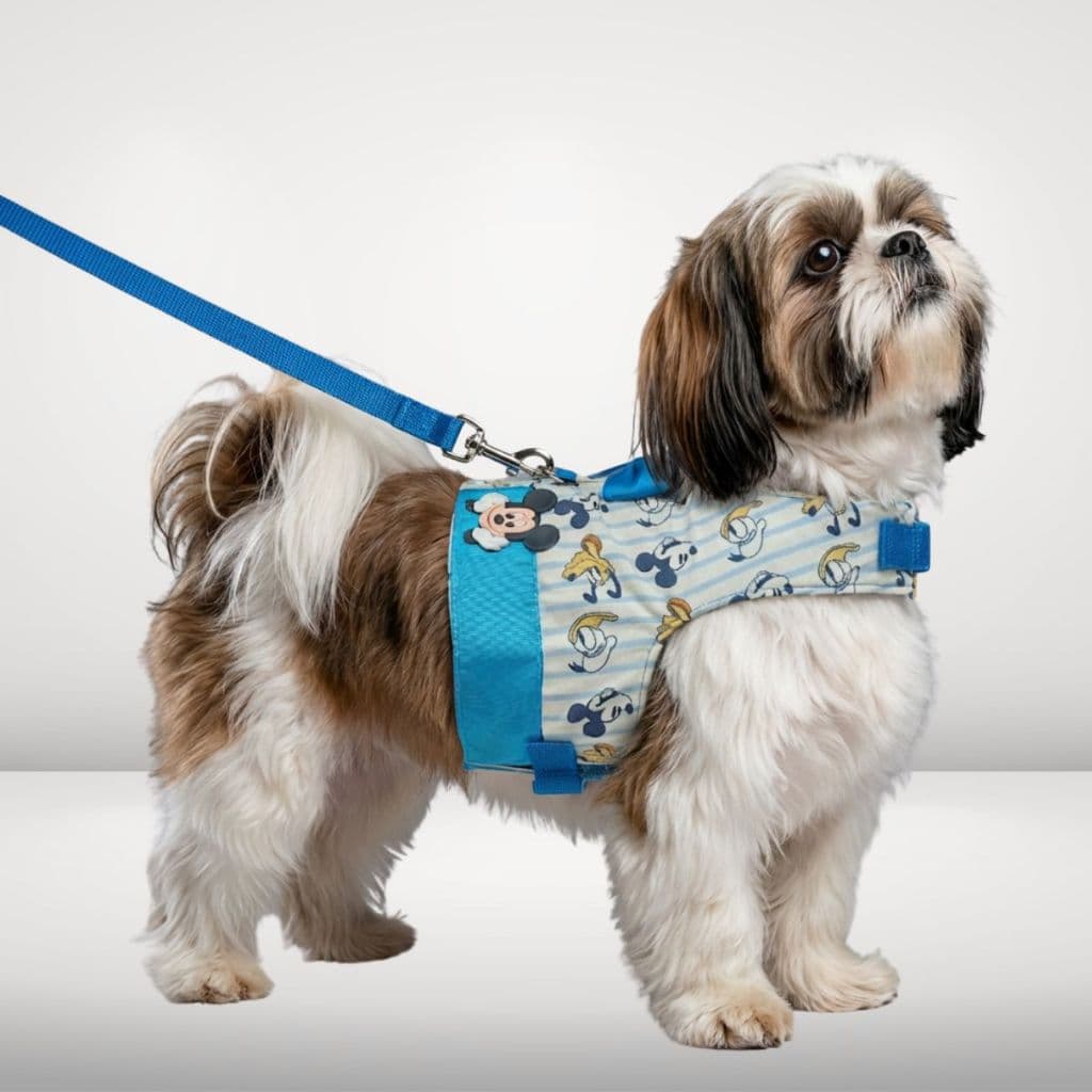 Peitoral Guia Cachorro Snob Dog Mickey Azul Macho