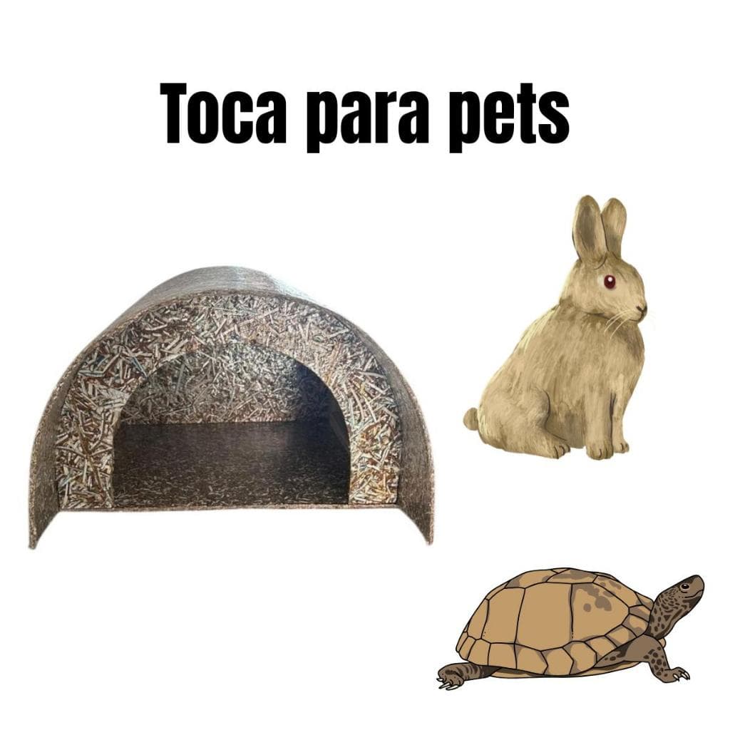 Casa Toca Coelho Tartaruga Jabuti Coelho Da India Grande toquinha