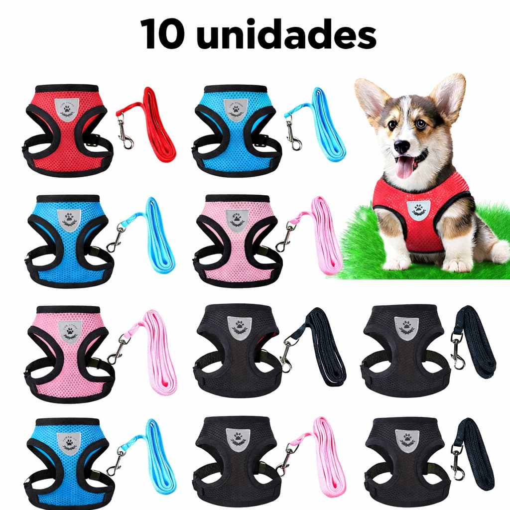 Coleira Peitoral Cachorro E Gato Conjunto De Guia 10 PÇS + Coleira Tipo Colete Para Pet