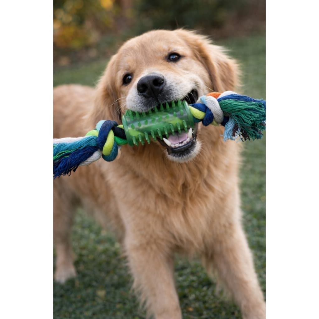 Brinquedo para Cachorro/ Brinquedo Pet/  Brinquedo Mordedor Cachorro corda e Massageador Dental