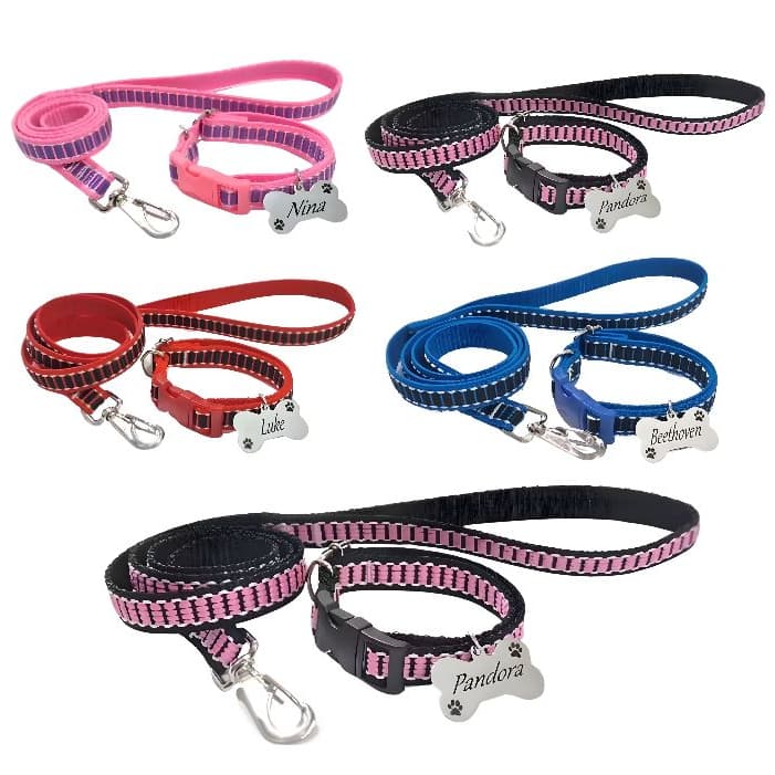 Coleira para PET gatos e cães com Guia e placa Gravada Nome+Contato