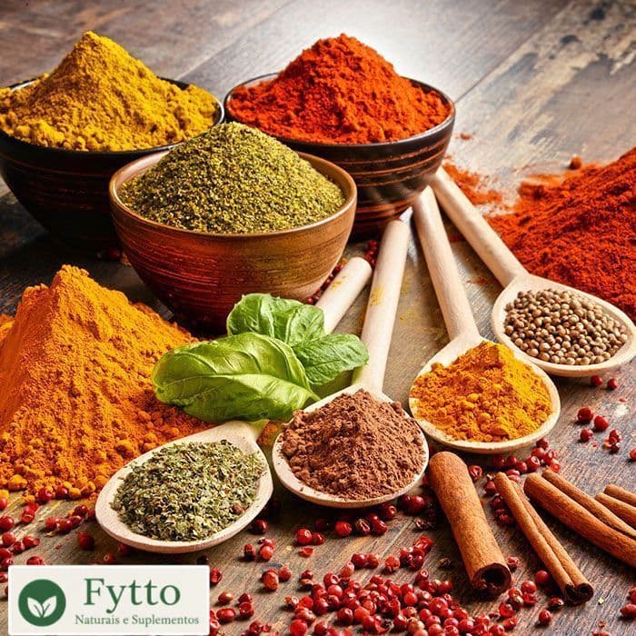 Temperos e Condimentos Profissionais 500g e 1kg | Atacado para Restaurantes, Pizzarias e Lanchonetes
