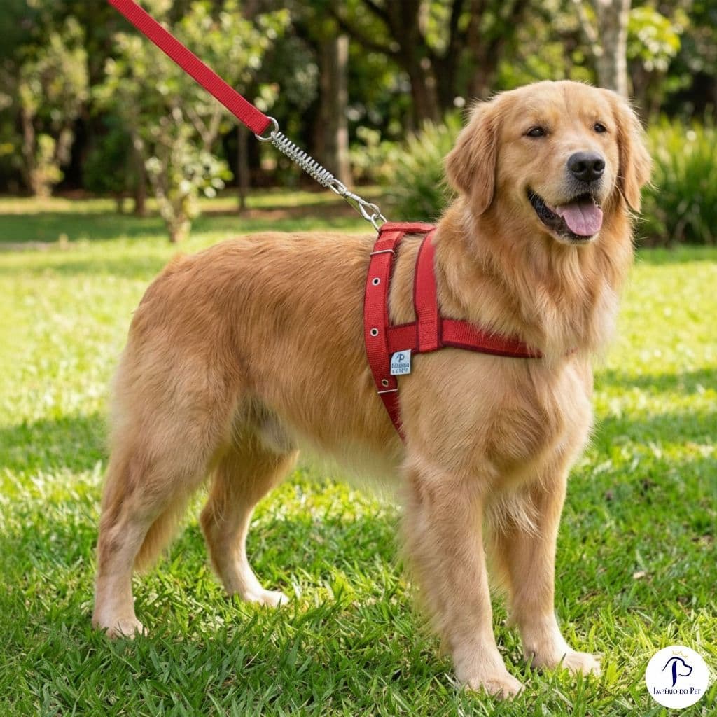 Coleira Peitoral Com Guia para Cães Pequenos e Grandes Cor Vermelho Forrado de Passeio