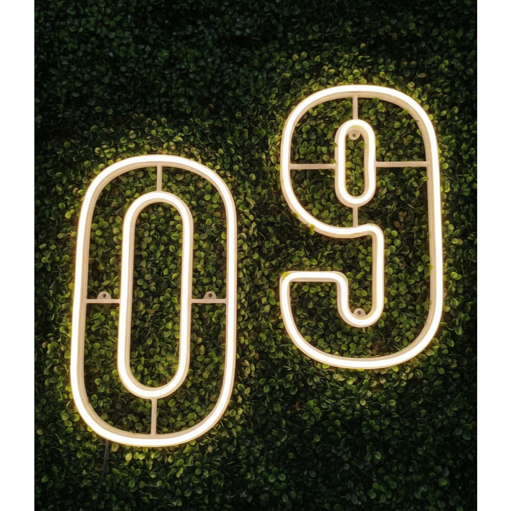 Luminária Led Neon ~ Numero 0 ao 9 30cm Altura Decoração