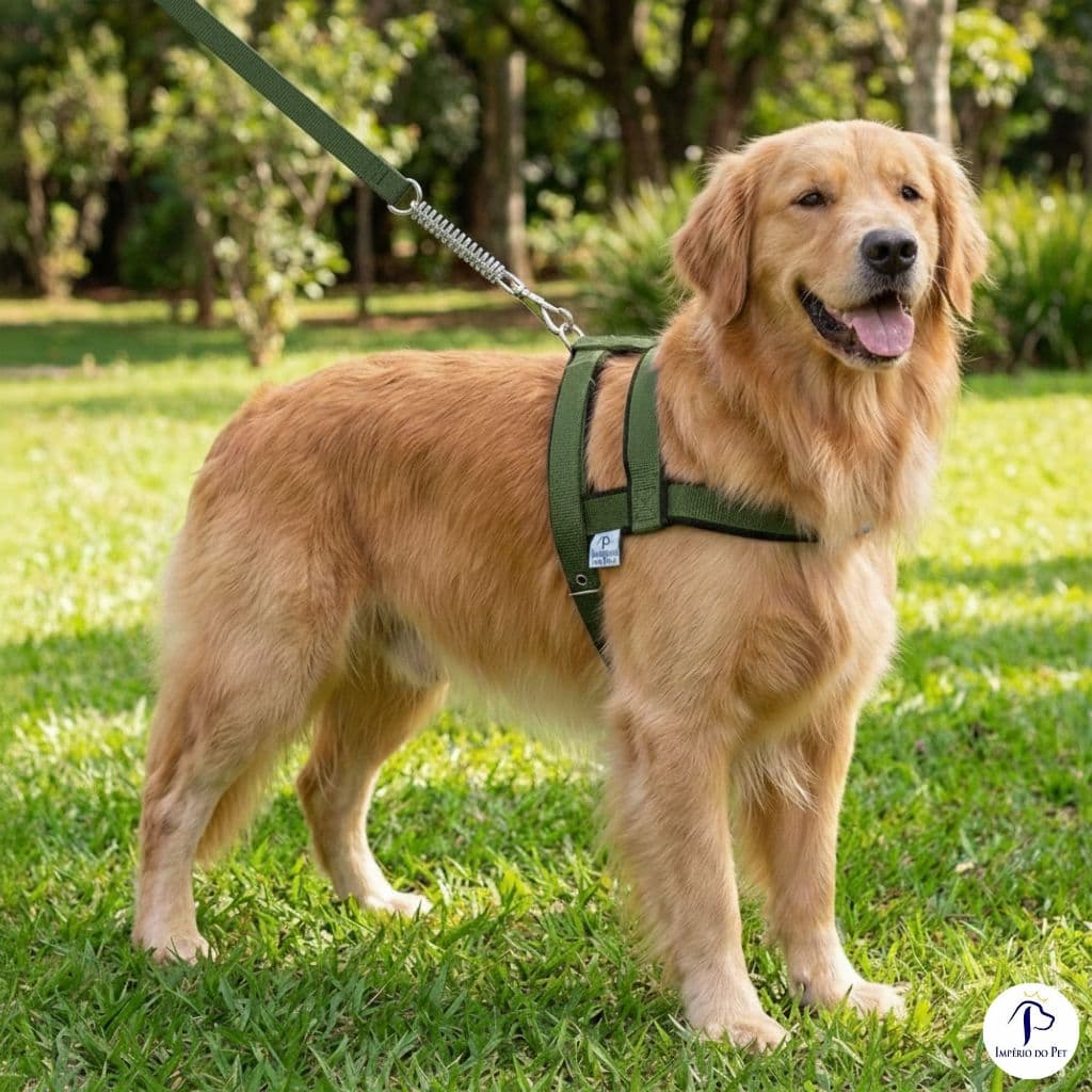 Coleira Peitoral Verde com Guia Anti-Impácto Para Cachorros Grandes e Pequenos Ajustável