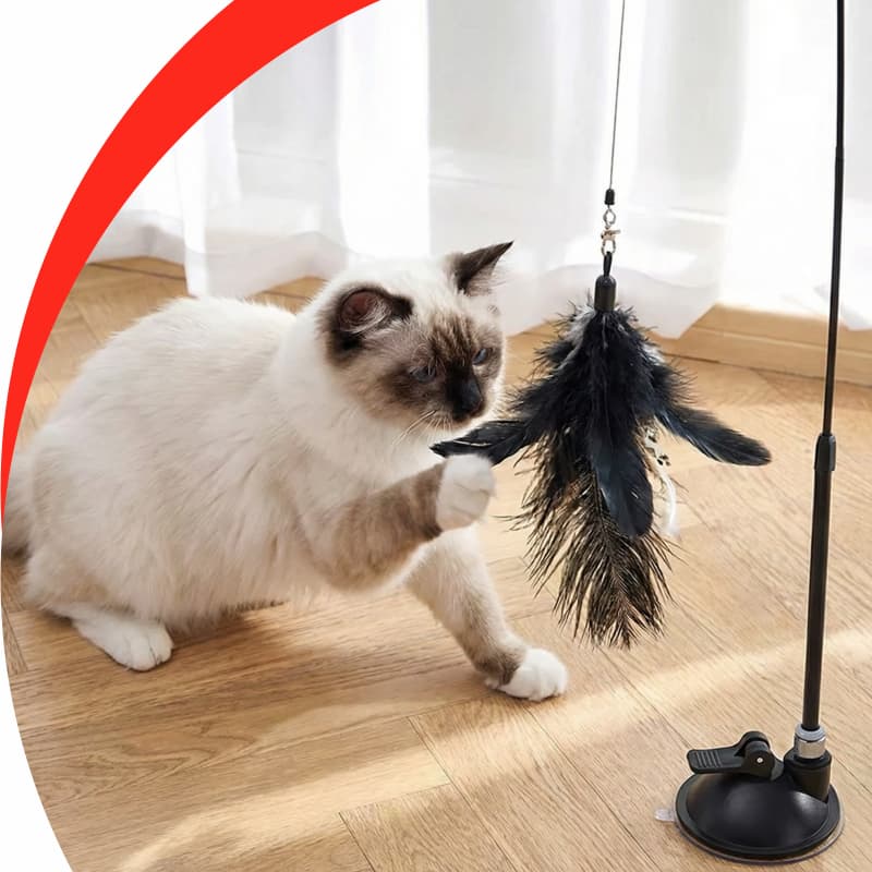 Varinha Interativa para Gatos com Ventosa - Pena de Pássaro e Base Fixa